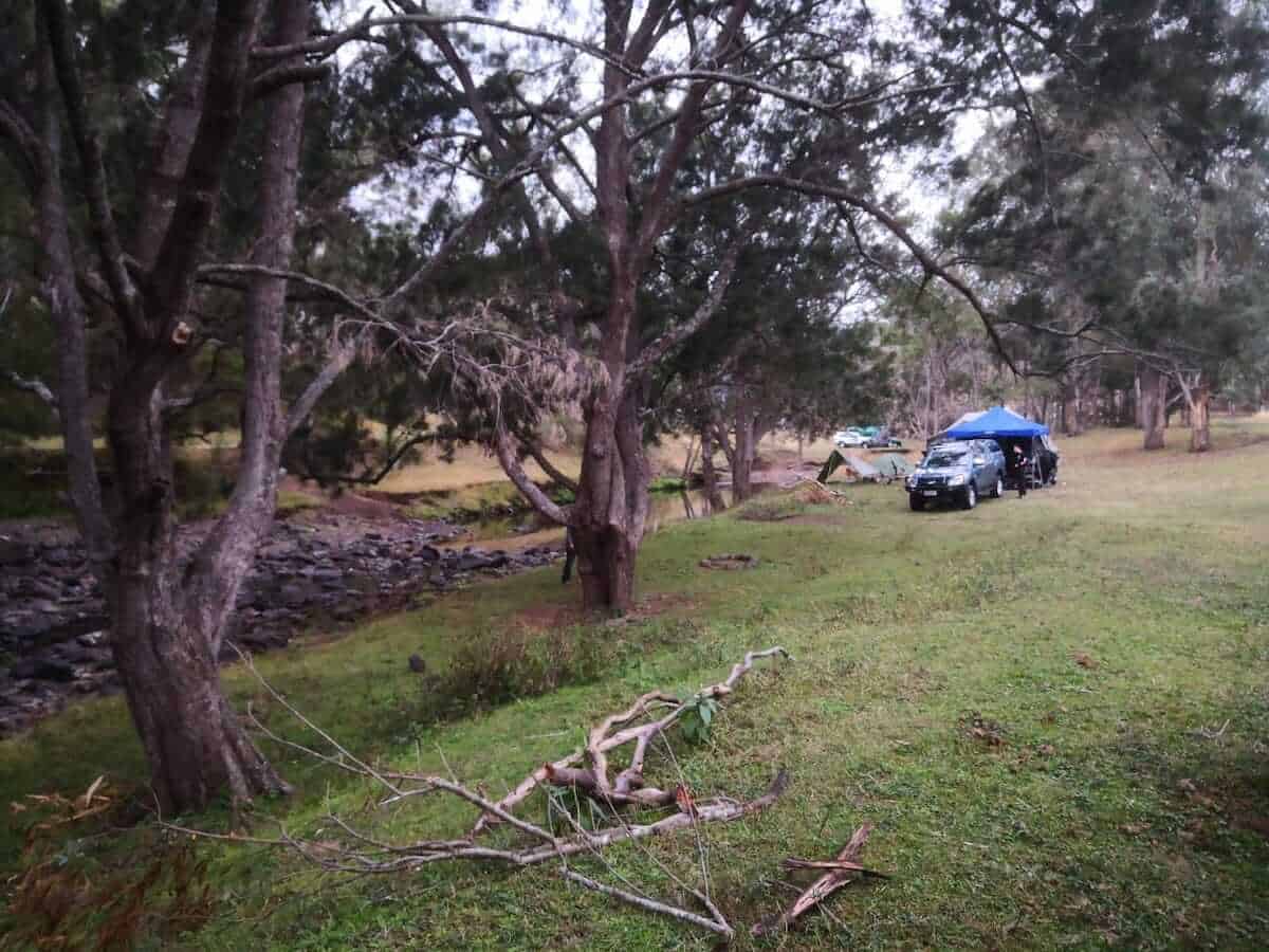 delica camper parked at campground in queensland