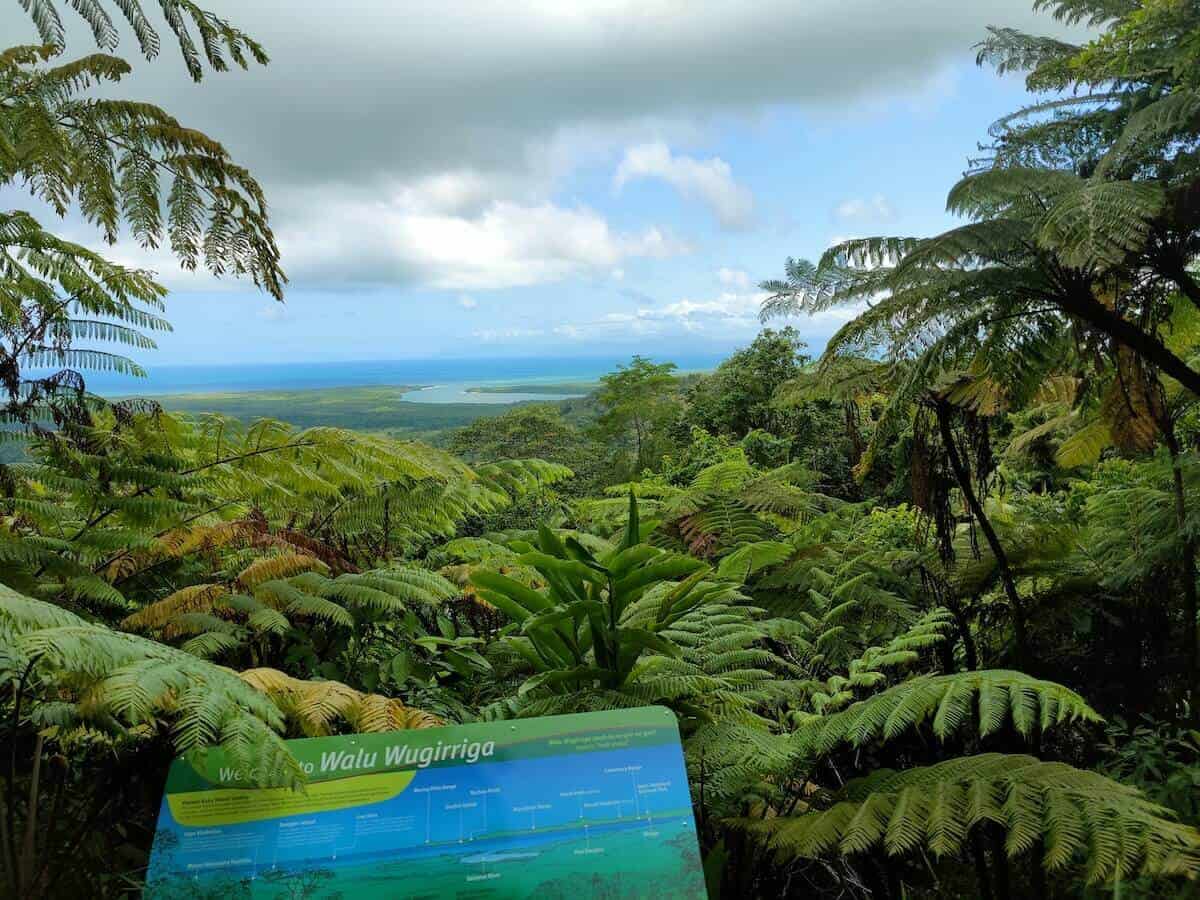 daintree lookout