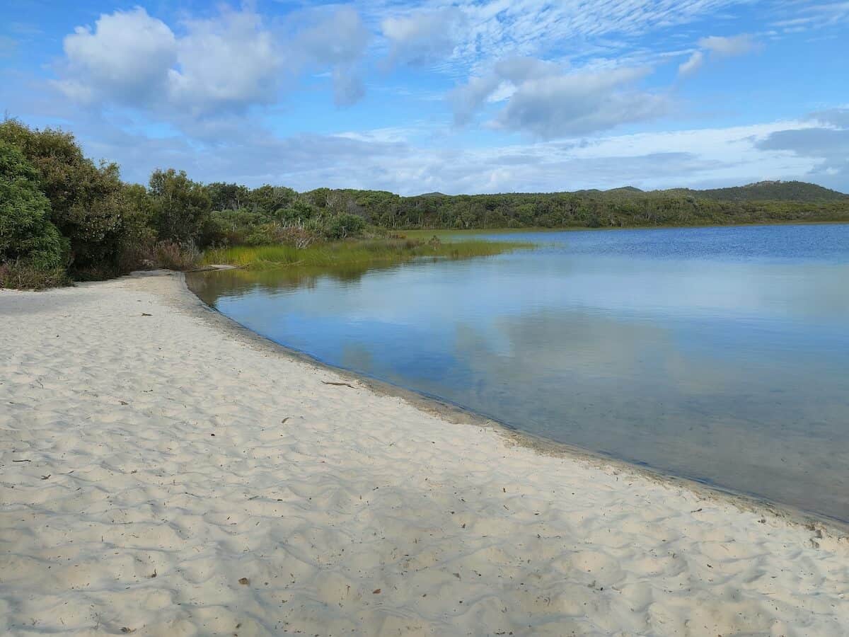 walking track to blue lagoon moreton island.