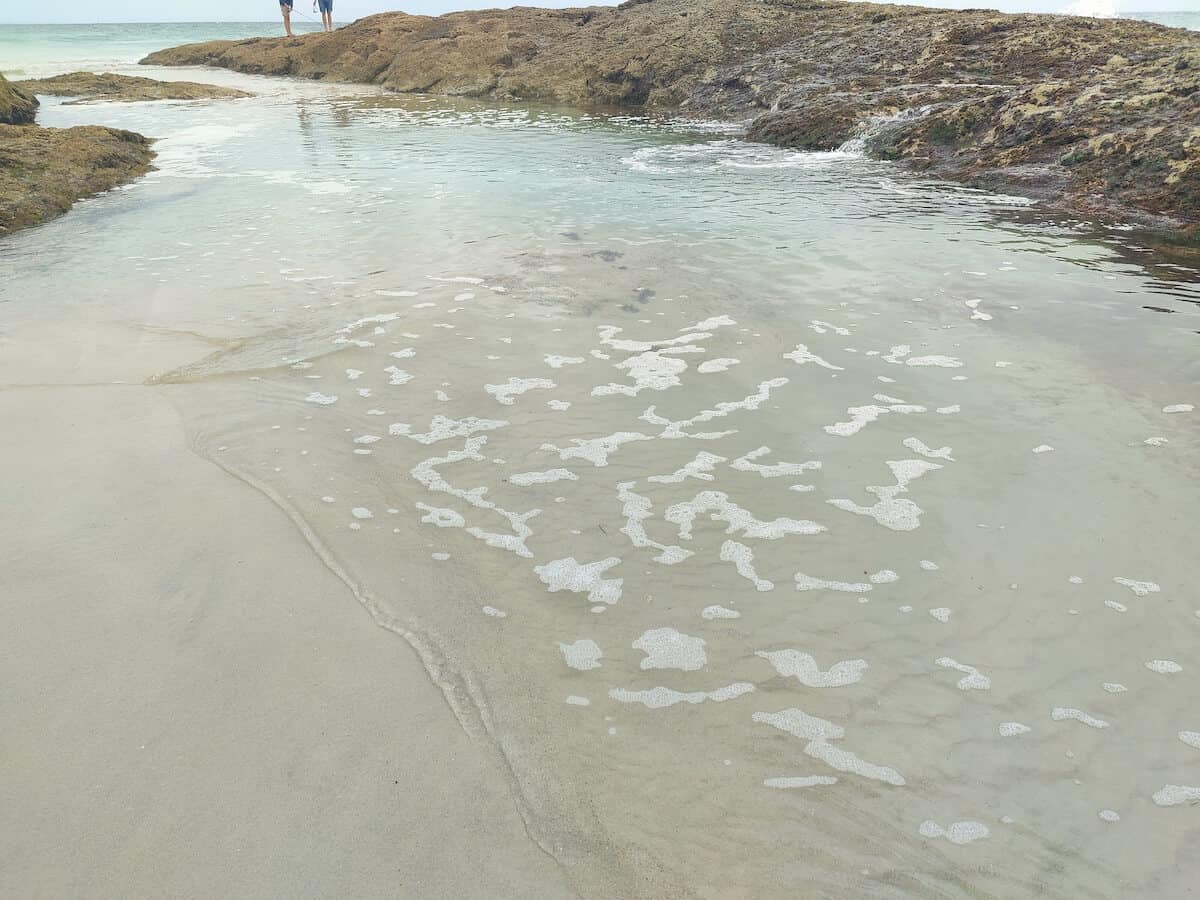 campaign pools moreton island