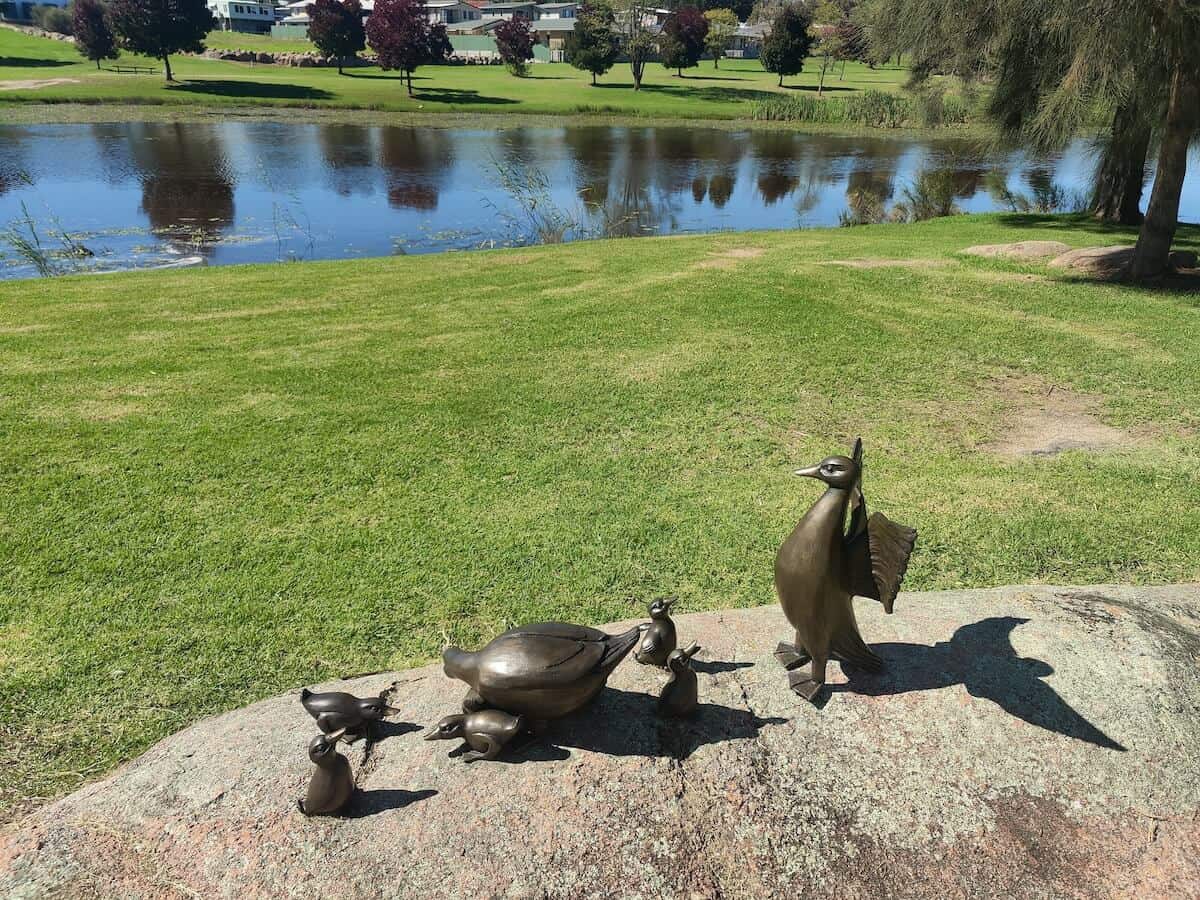 duck statue at a stanthorpe park