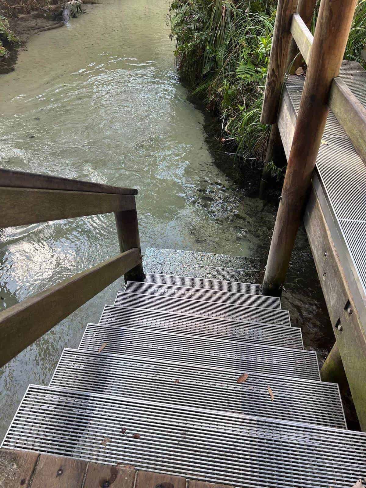 stairs to eli creek