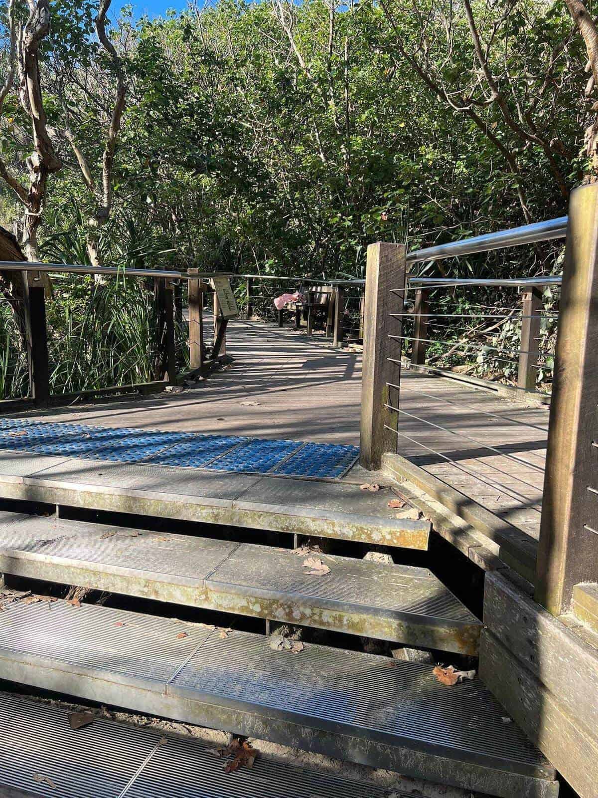 wooden walkway on fraser island