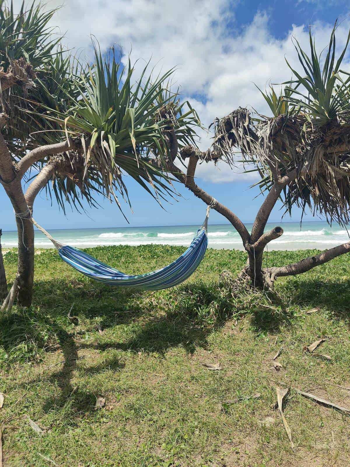 hammock hanging between trees near beach on fraser island campsite.