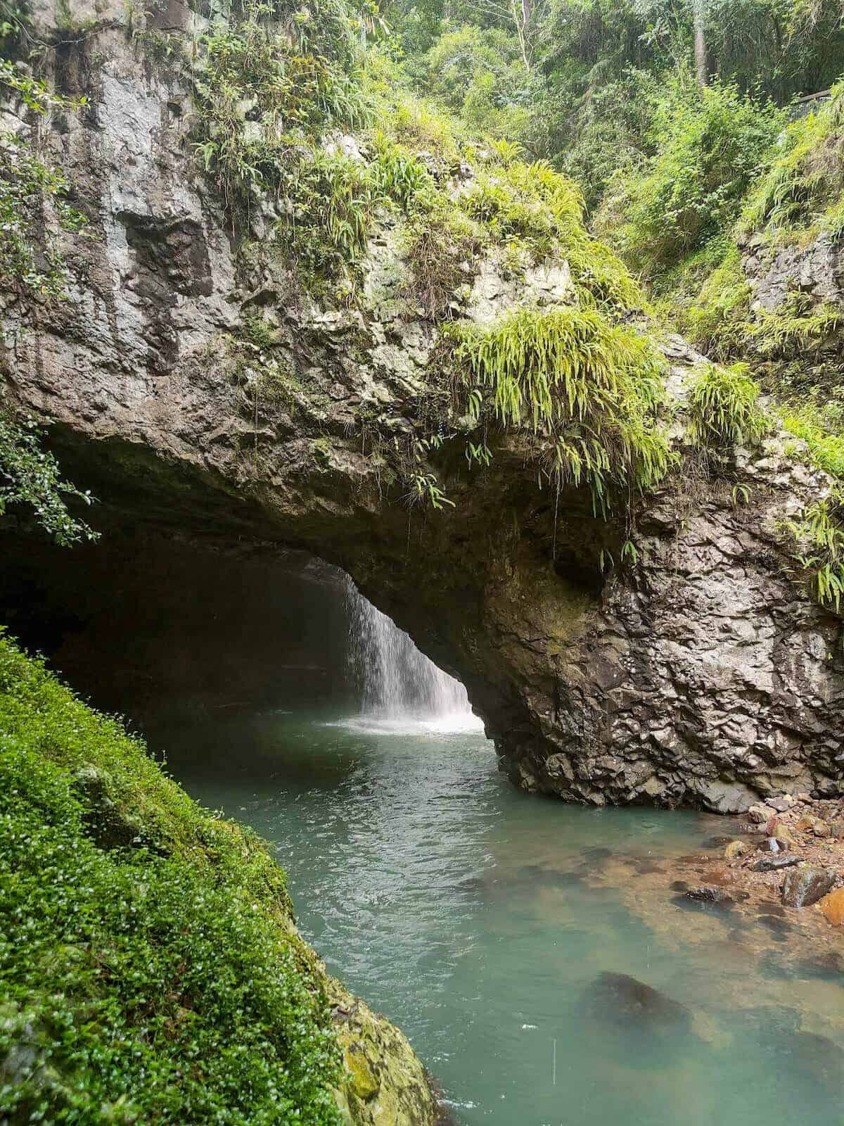 natural bridge at springbrook national park