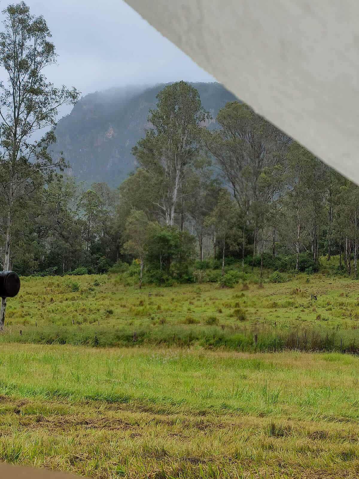 view from tent at numinbah camping ground