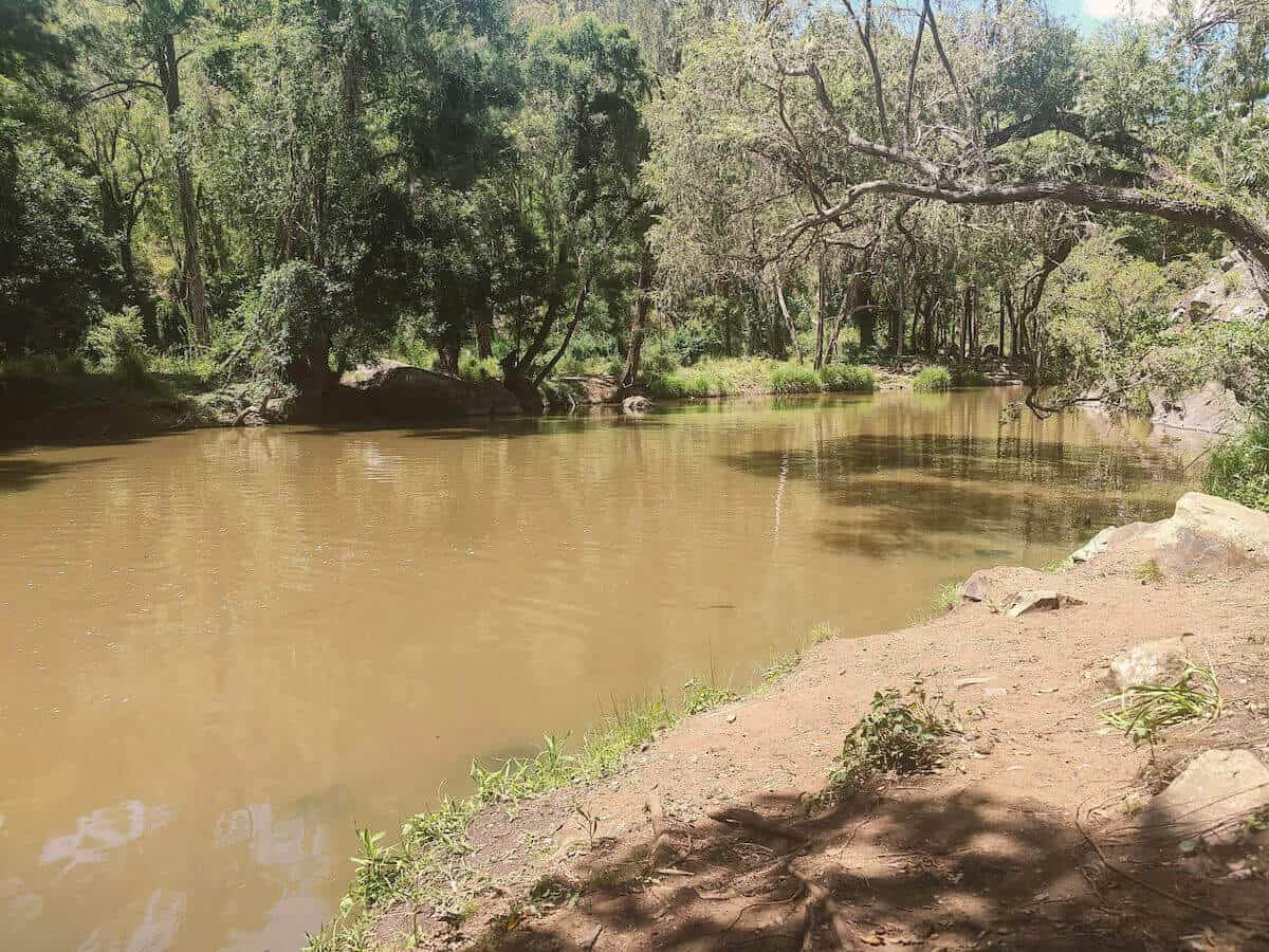 swimming hole at the gorge camping ground