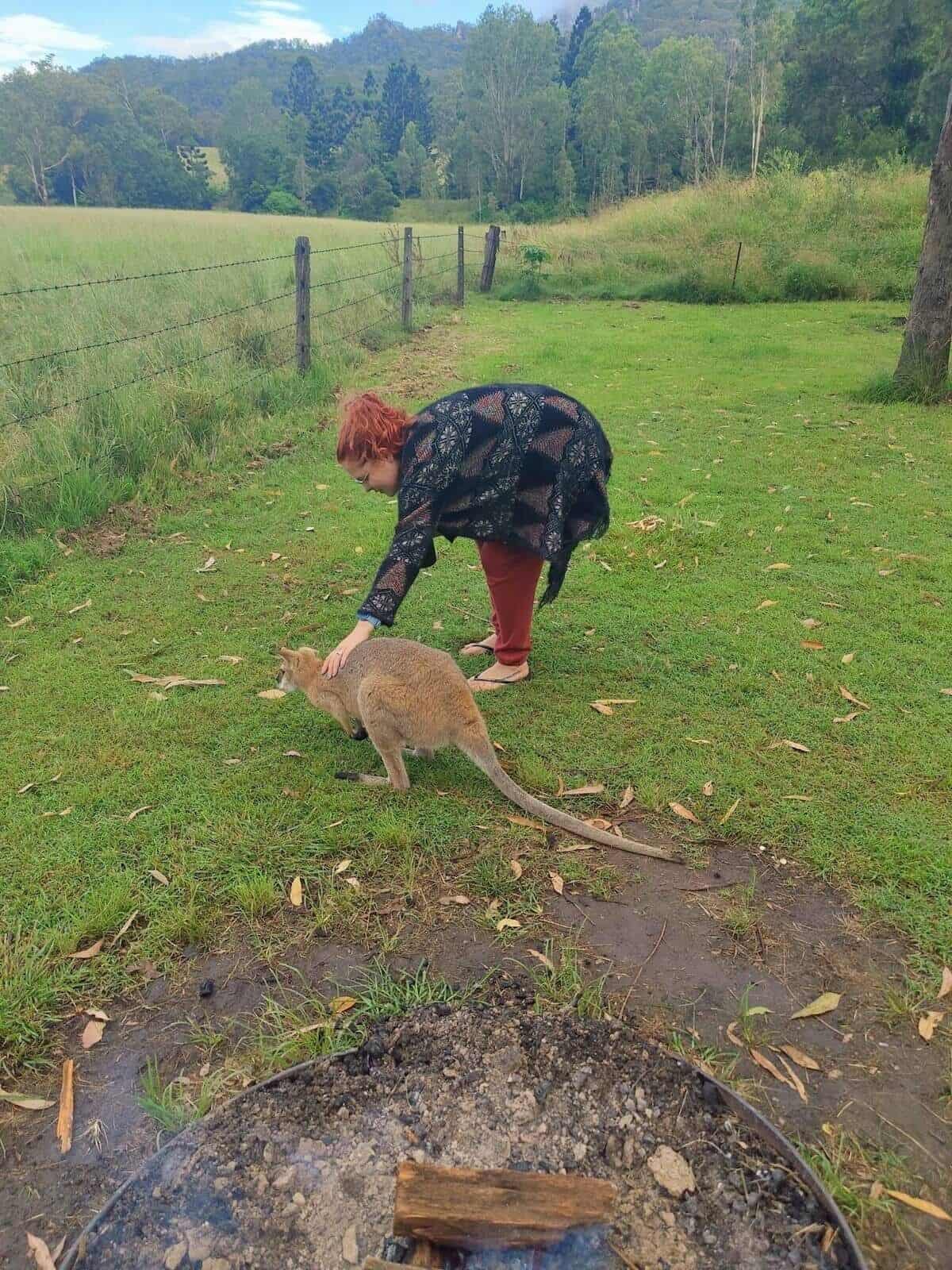 woman patting a wallaby in the wild while camping