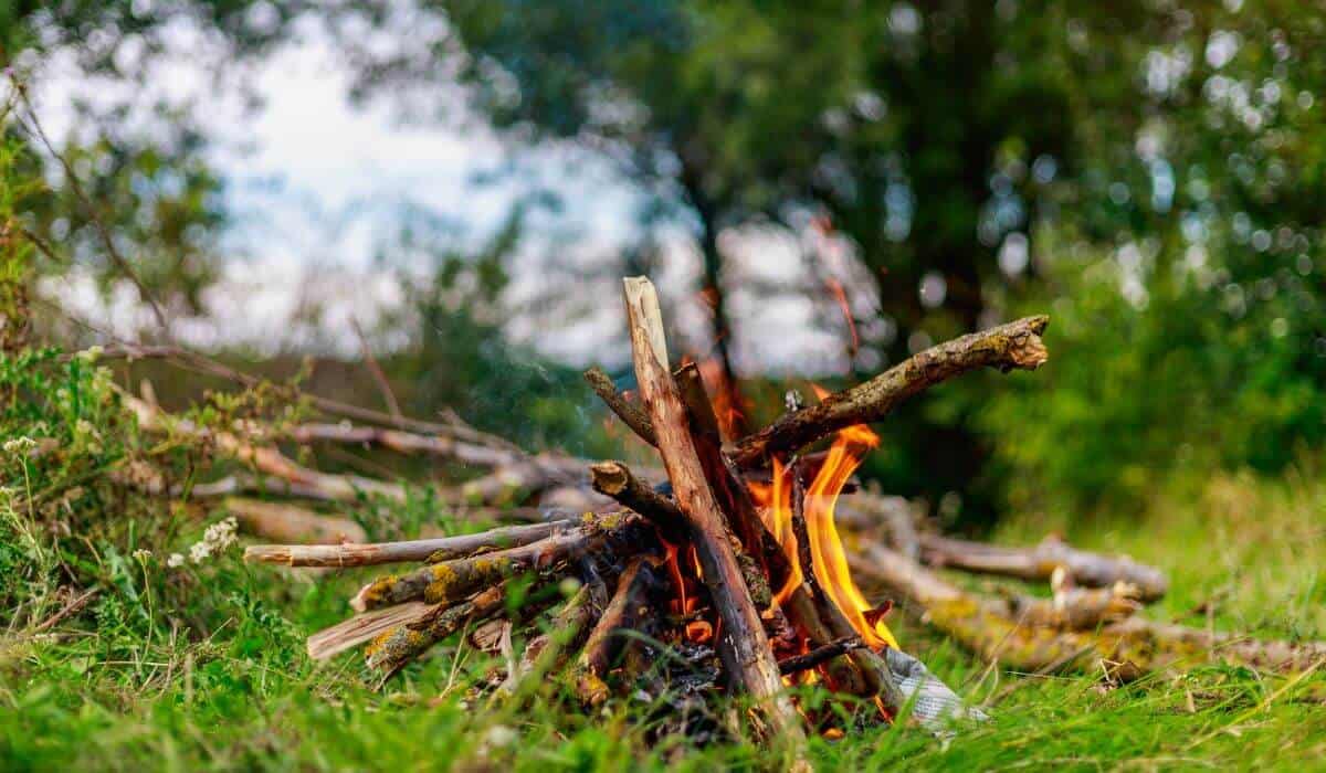a campfire made from sticks.