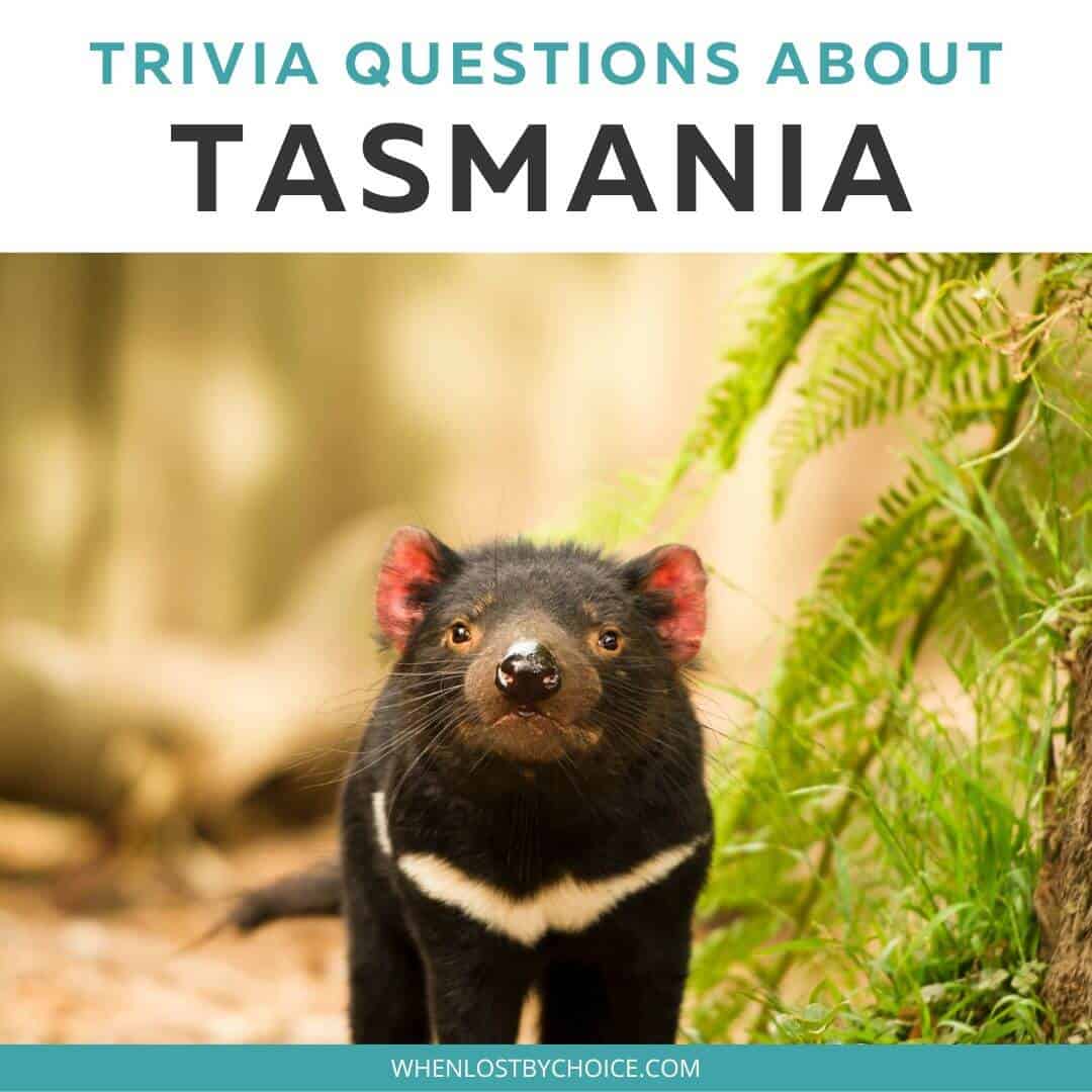 tasmania trivia questions