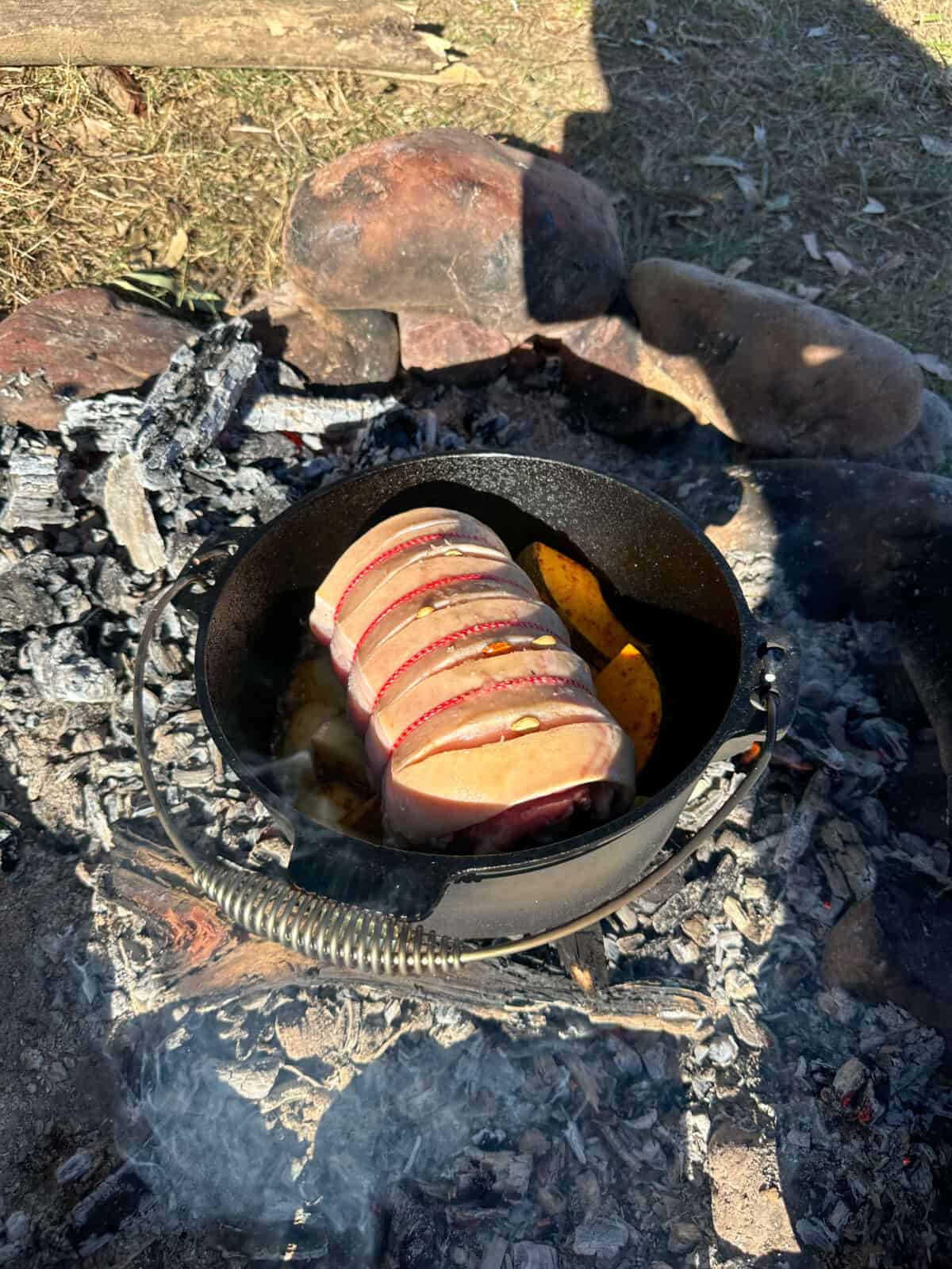 cast iron camp oven 