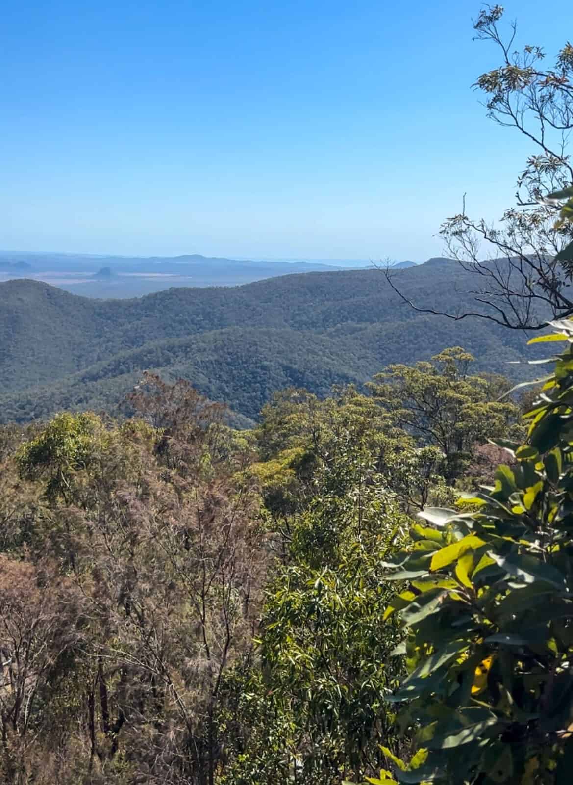 Mount Archer lookout.