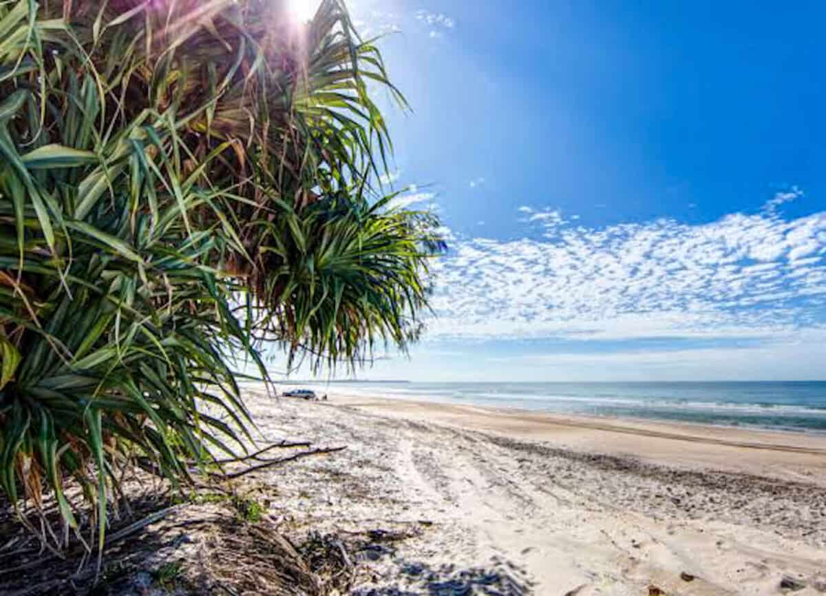 bribie island beach.