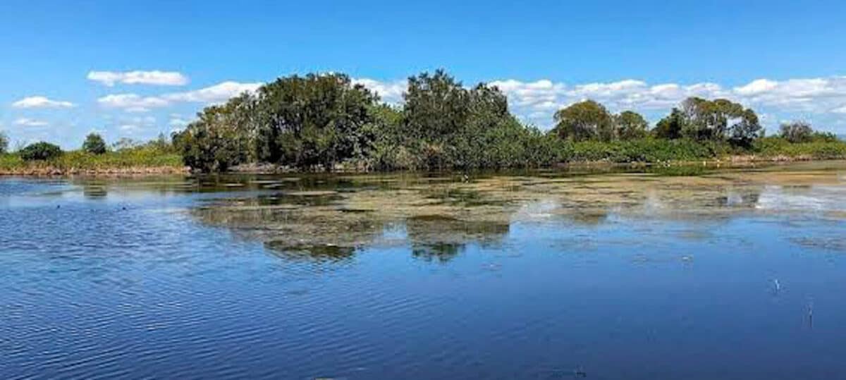 Buckley Hole's Conservation Park at Bribie Island.