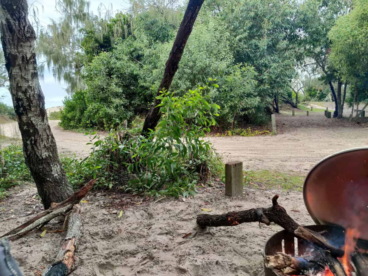 beach camping at bribie island national park.