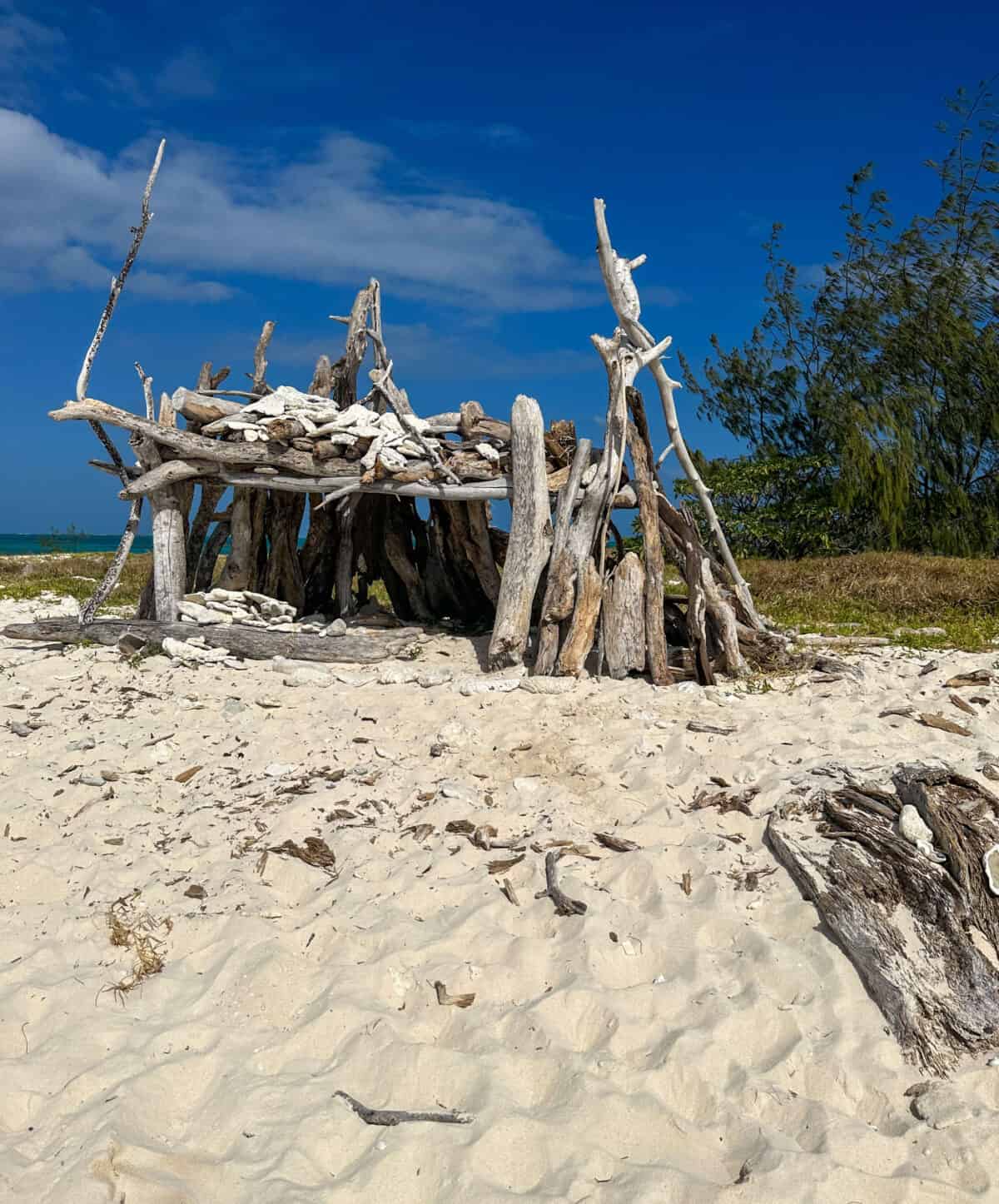 Lady Musgrave Island.