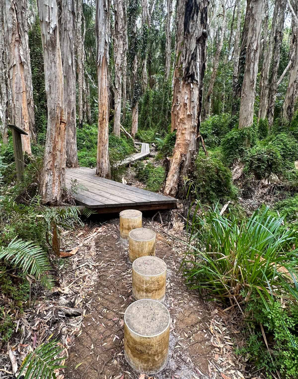 Agnes Water Paperbark Trail.